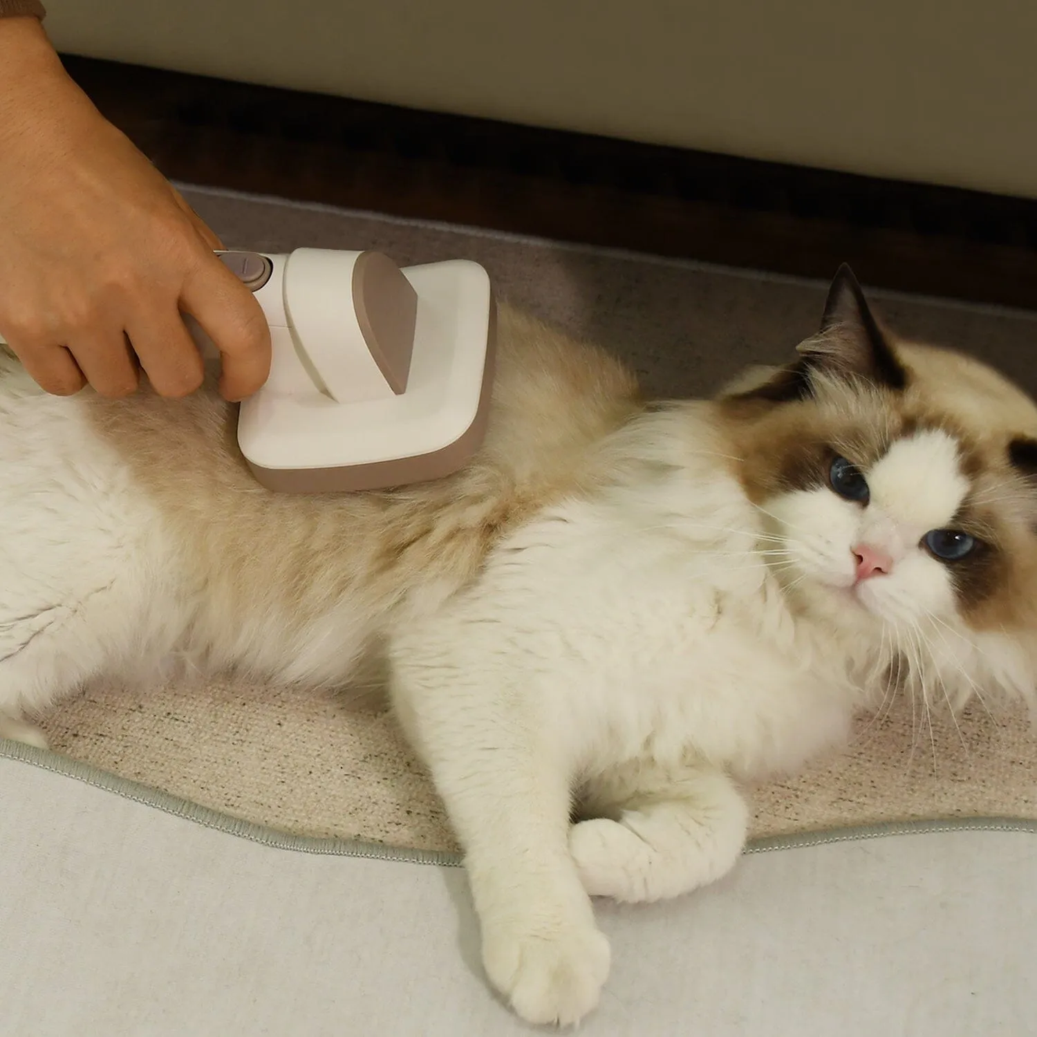 6 in 1 Pet Grooming Kit Vacuum with Brushes Comb