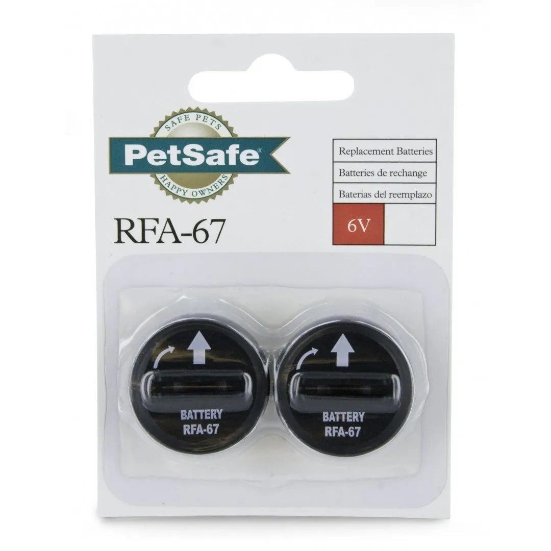 6 Volt Lithium Battery (2 Pack)