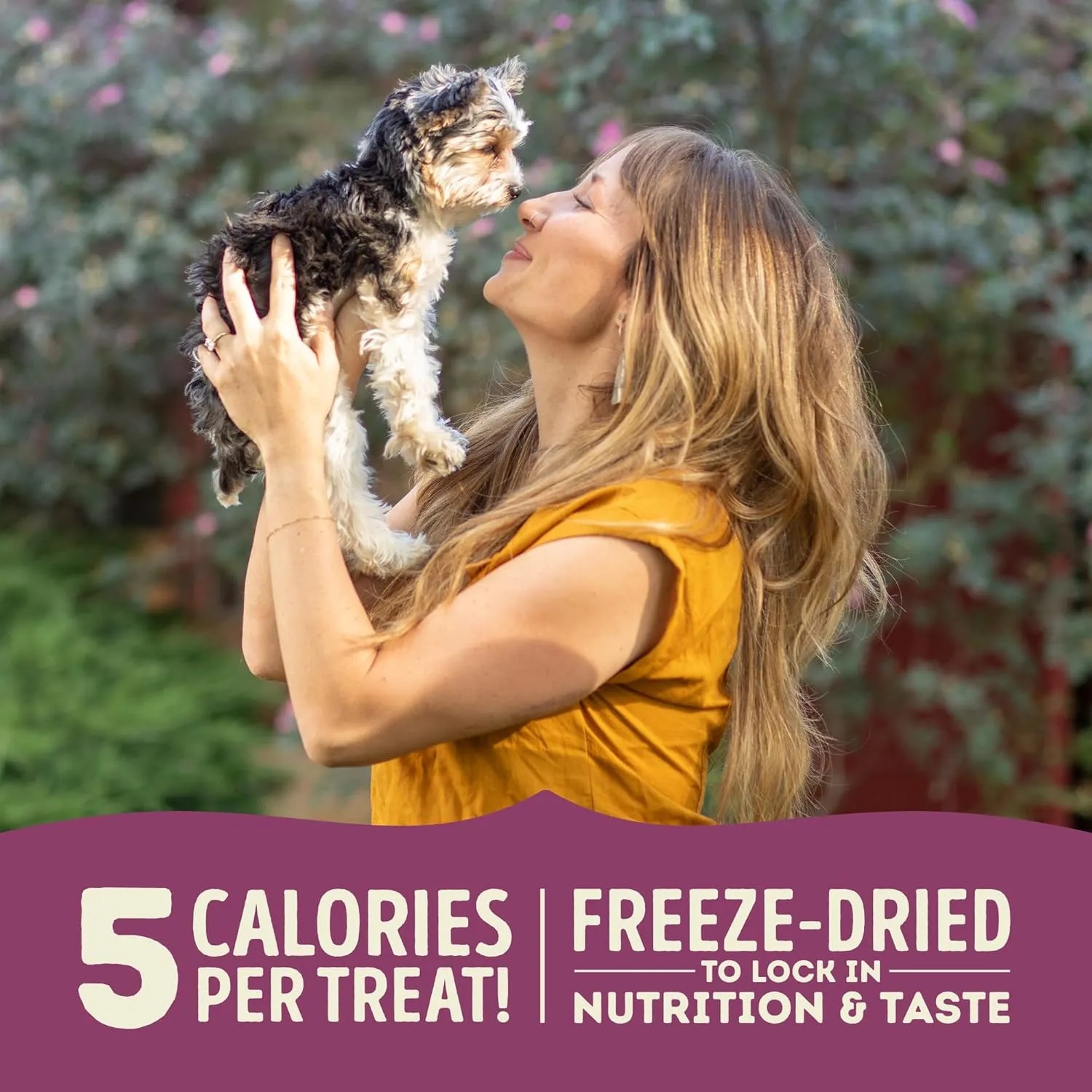 ACANA Singles Freeze Dried Dog Treats, Limited Ingredient Grain Free Lamb & Apple Recipe, 1.25oz