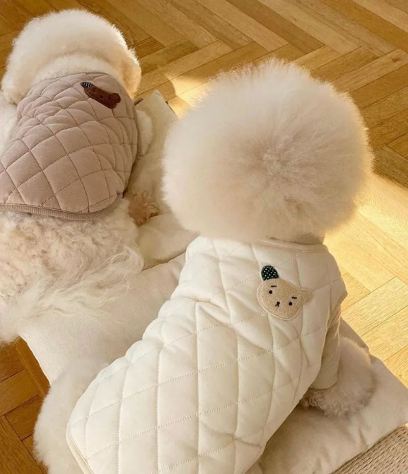 Autumn and winter dog traction vest, cat biped cotton coat pet clothes