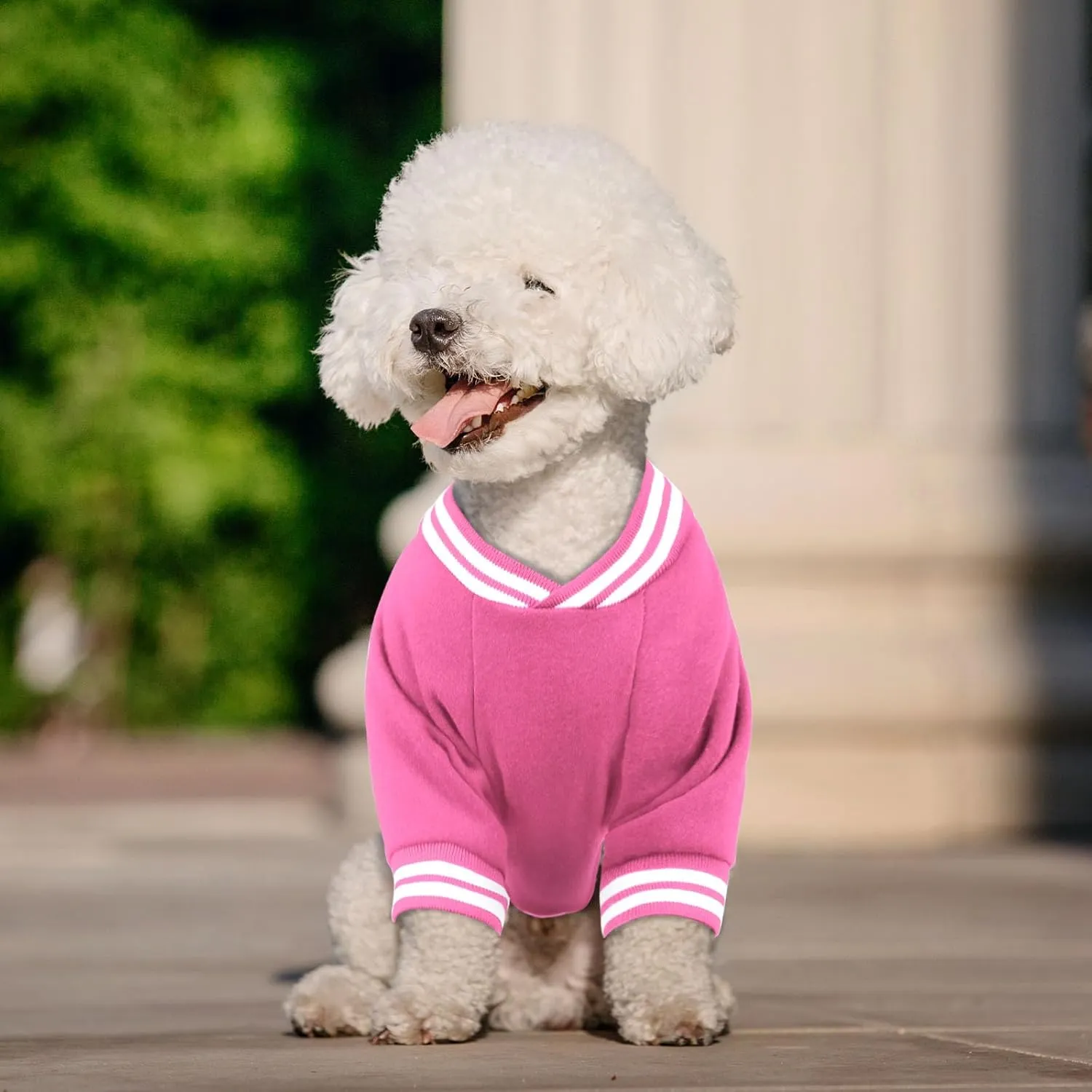 Brushed Fleece Dog Sweater - Soft Warm Baseball Jacket for Small Dogs - Puppy Sweater Boy Girl (Pink-S)