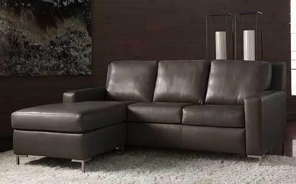 Bryson Comfort Sleeper