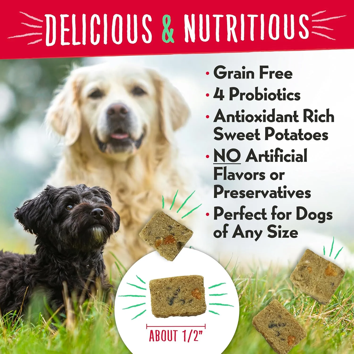 Charlee Bear Meaty Bites Dog Treats, Salmon & Sweet Potatoes, 2.5oz
