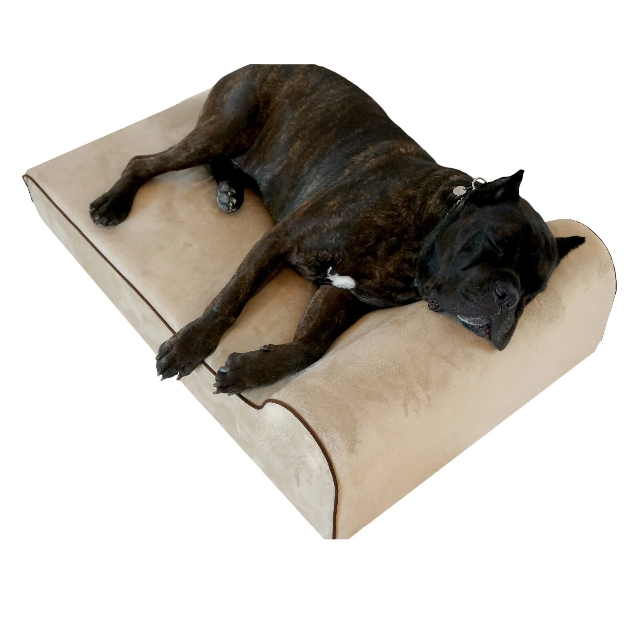 Clearance Dog Beds