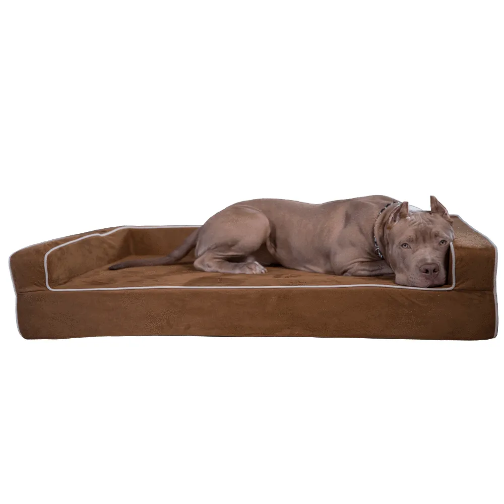 Clearance Dog Beds