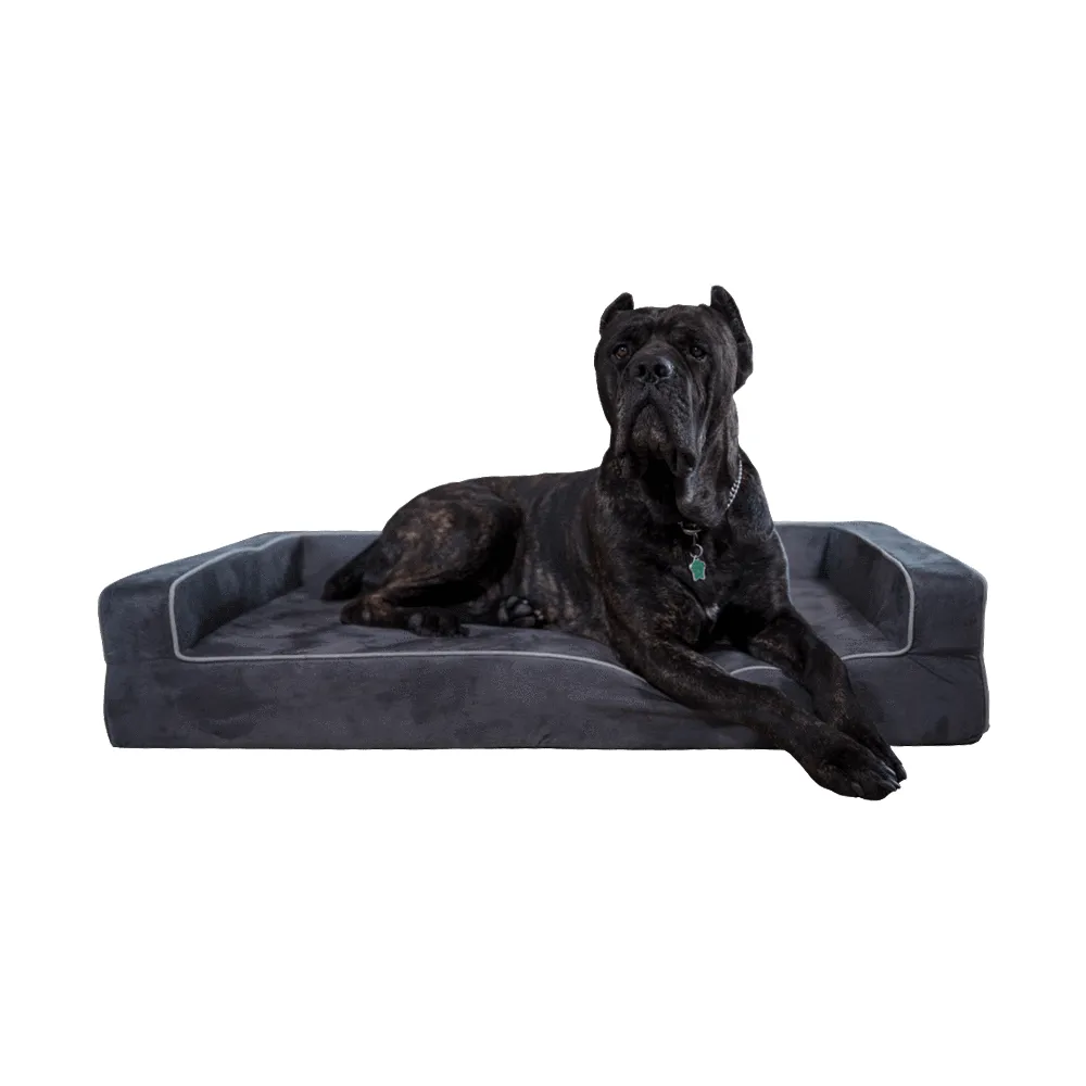 Clearance Dog Beds