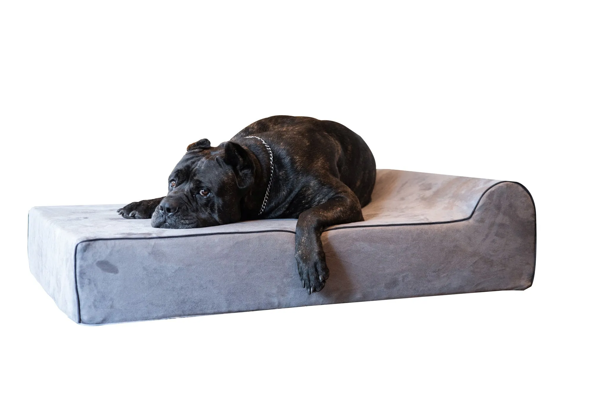 Clearance Dog Beds