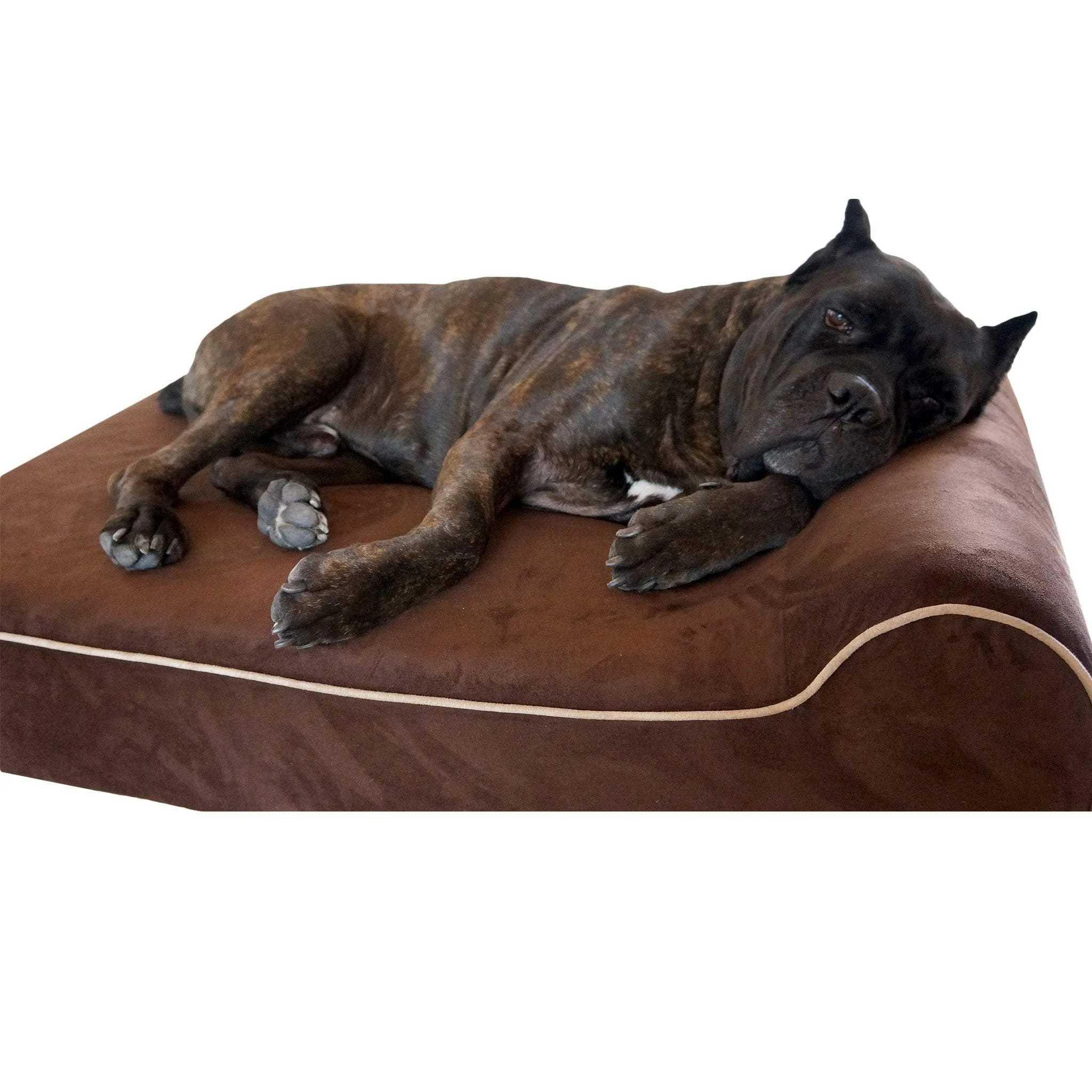 Clearance Dog Beds