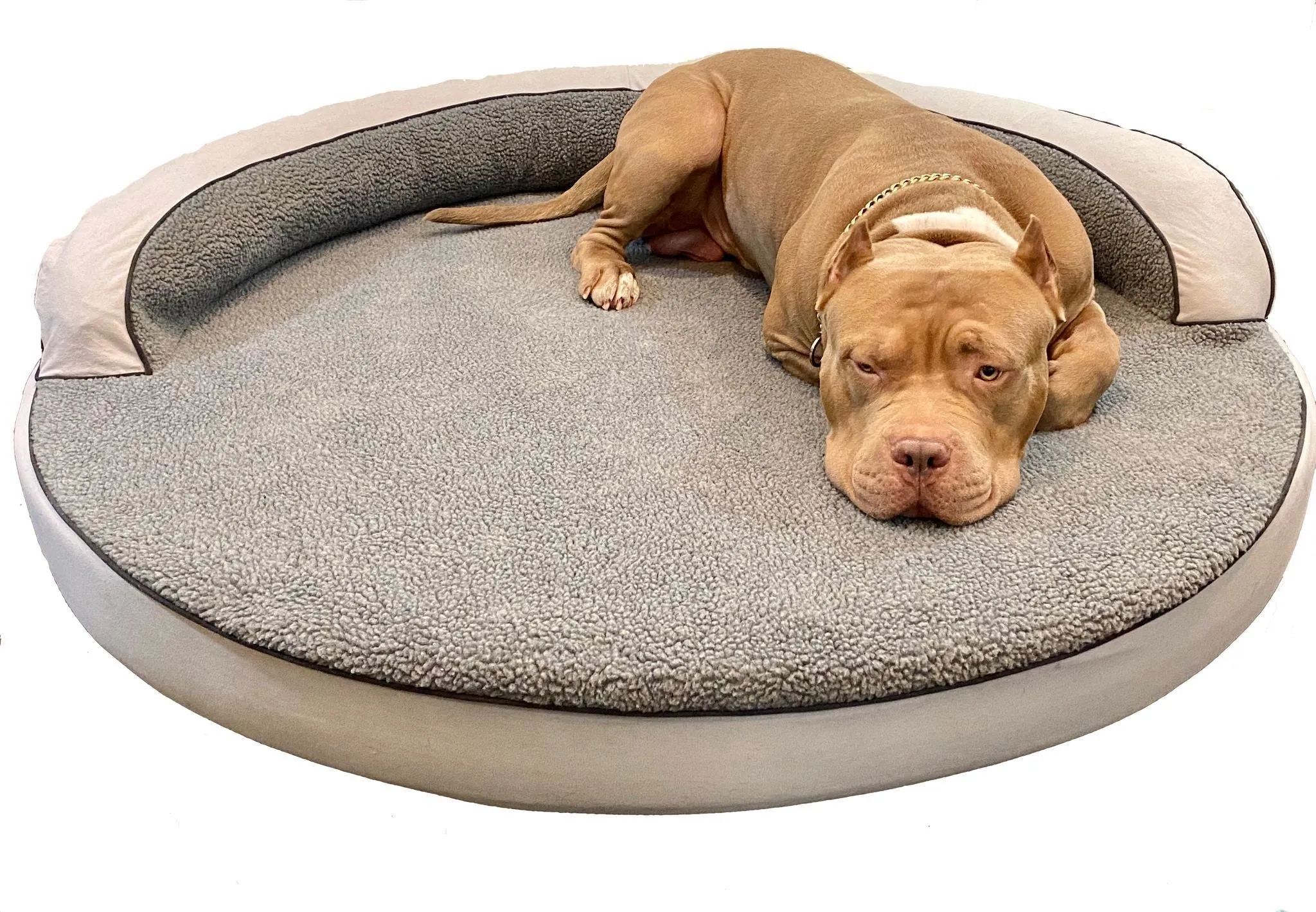 Clearance Dog Beds