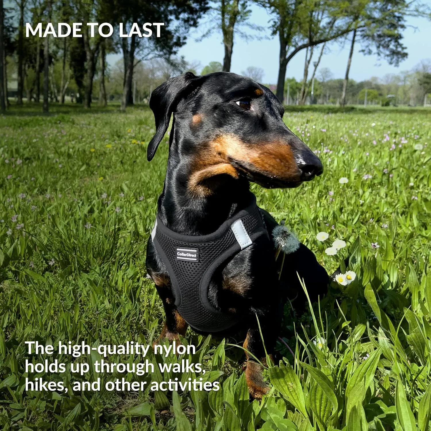 CollarDirect Step-in Reflective Dog Harness - Any Weather Air Mesh for Small and Medium Dogs Easy to Put On and Off (Size M, Black)