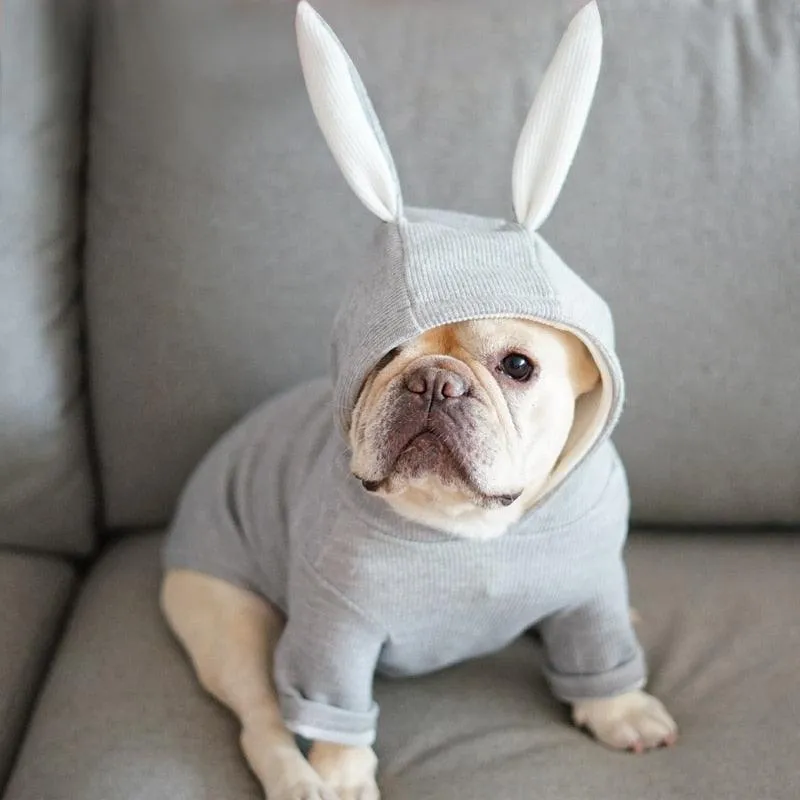 Cute French Bulldog Hooded Coat Jacket