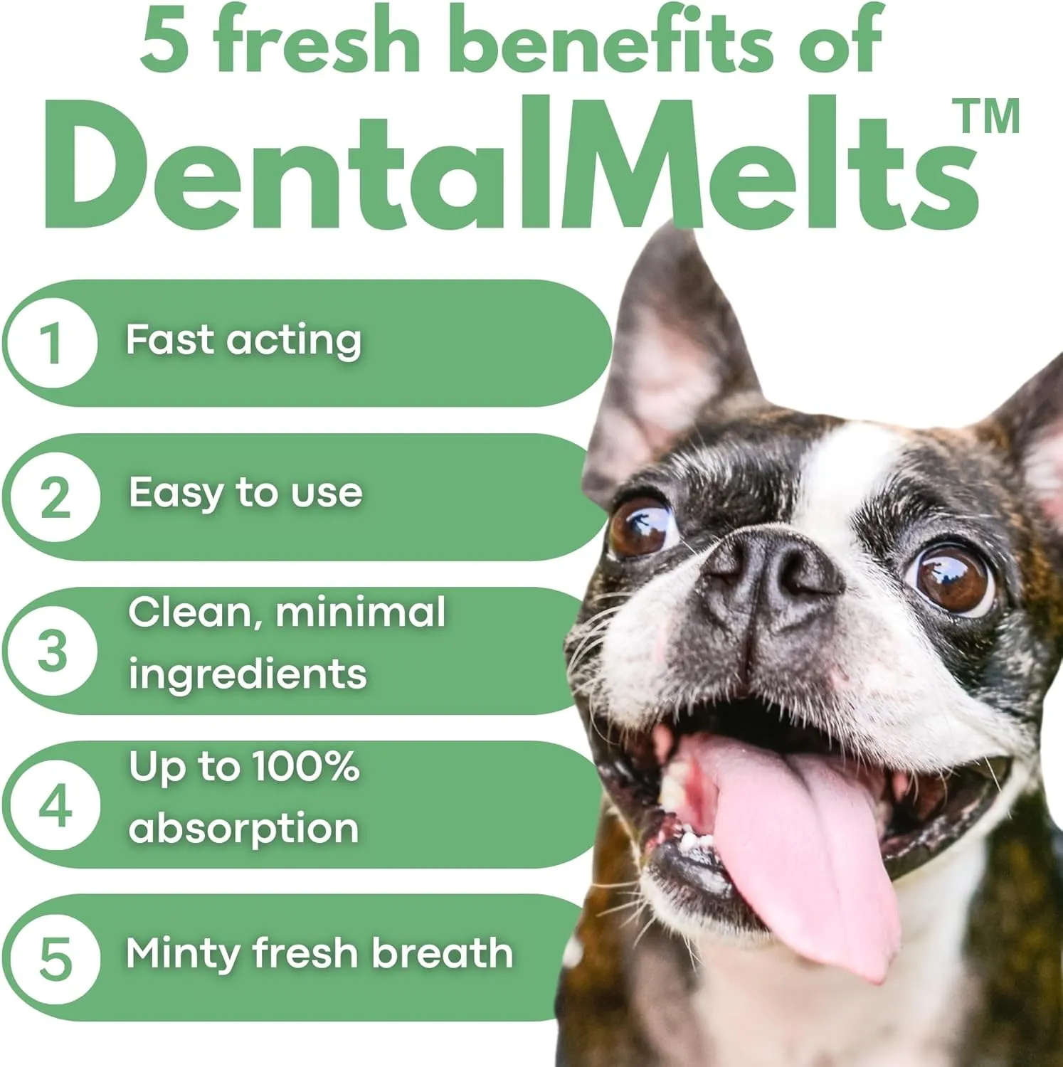 Dog Bad Breath Dental 30 Strips - DentalMelts for Dogs  Fresh Breath, Supports Oral Hygiene, Breath Treats for Dogs, Vet-Approved Dental Care, Low Calorie, No Fillers, No chew Dental Health