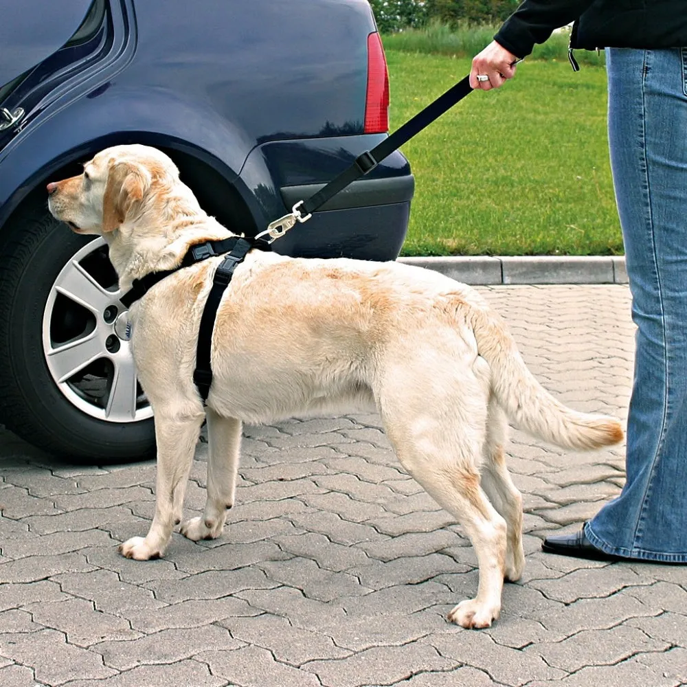 Dog Car Safety Harness - Small