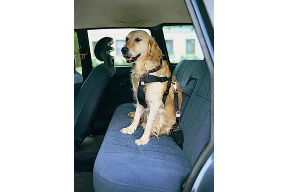 Dog Car Safety Harness - Small