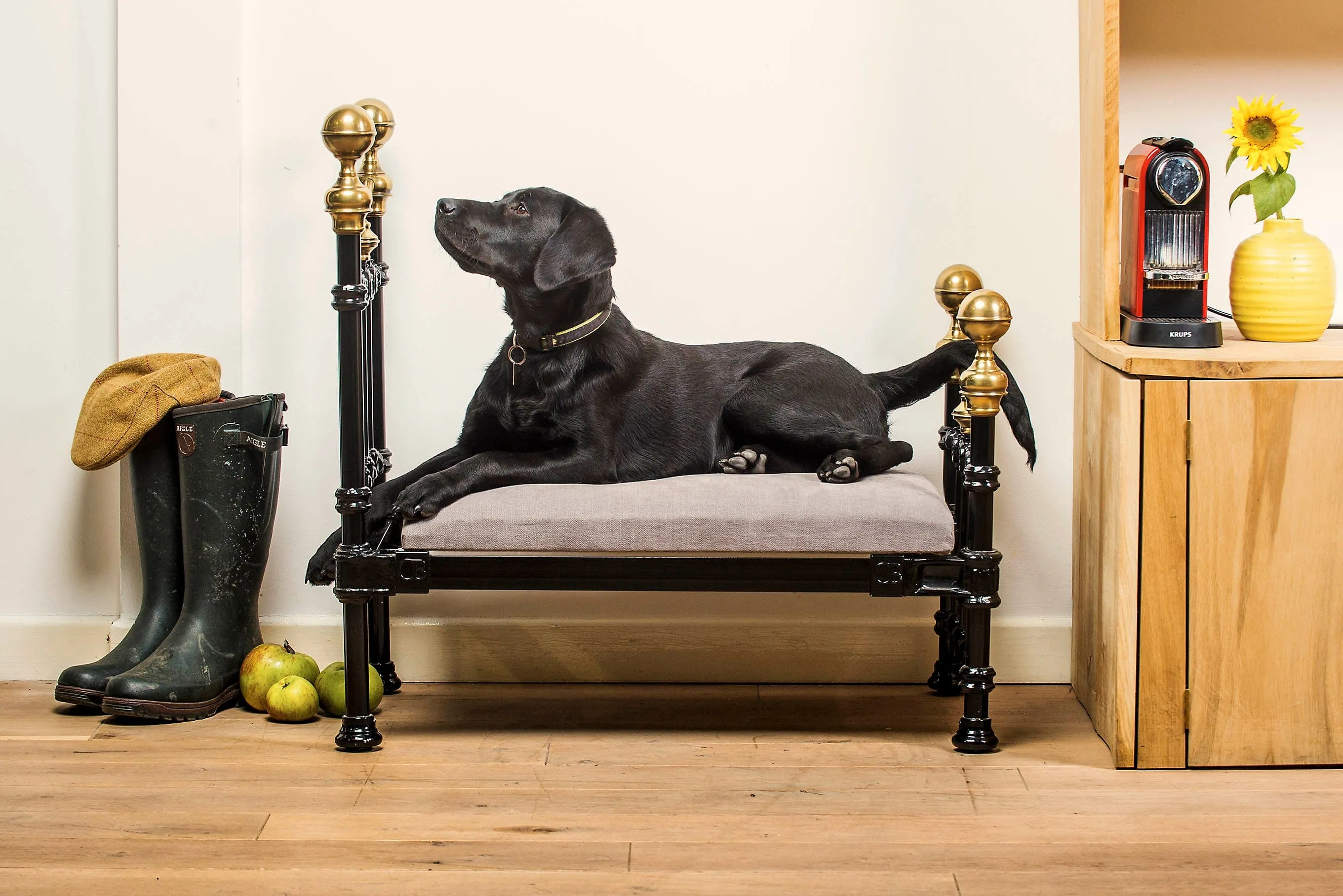 Dog Pet Bed