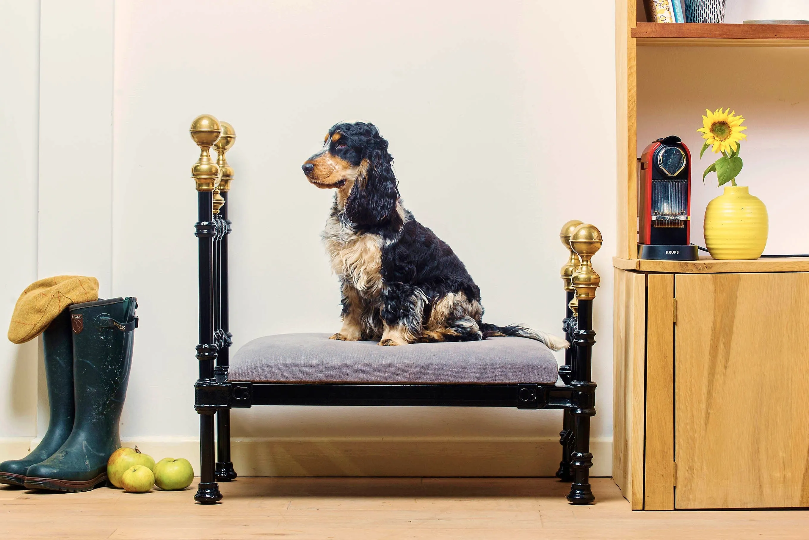 Dog Pet Bed