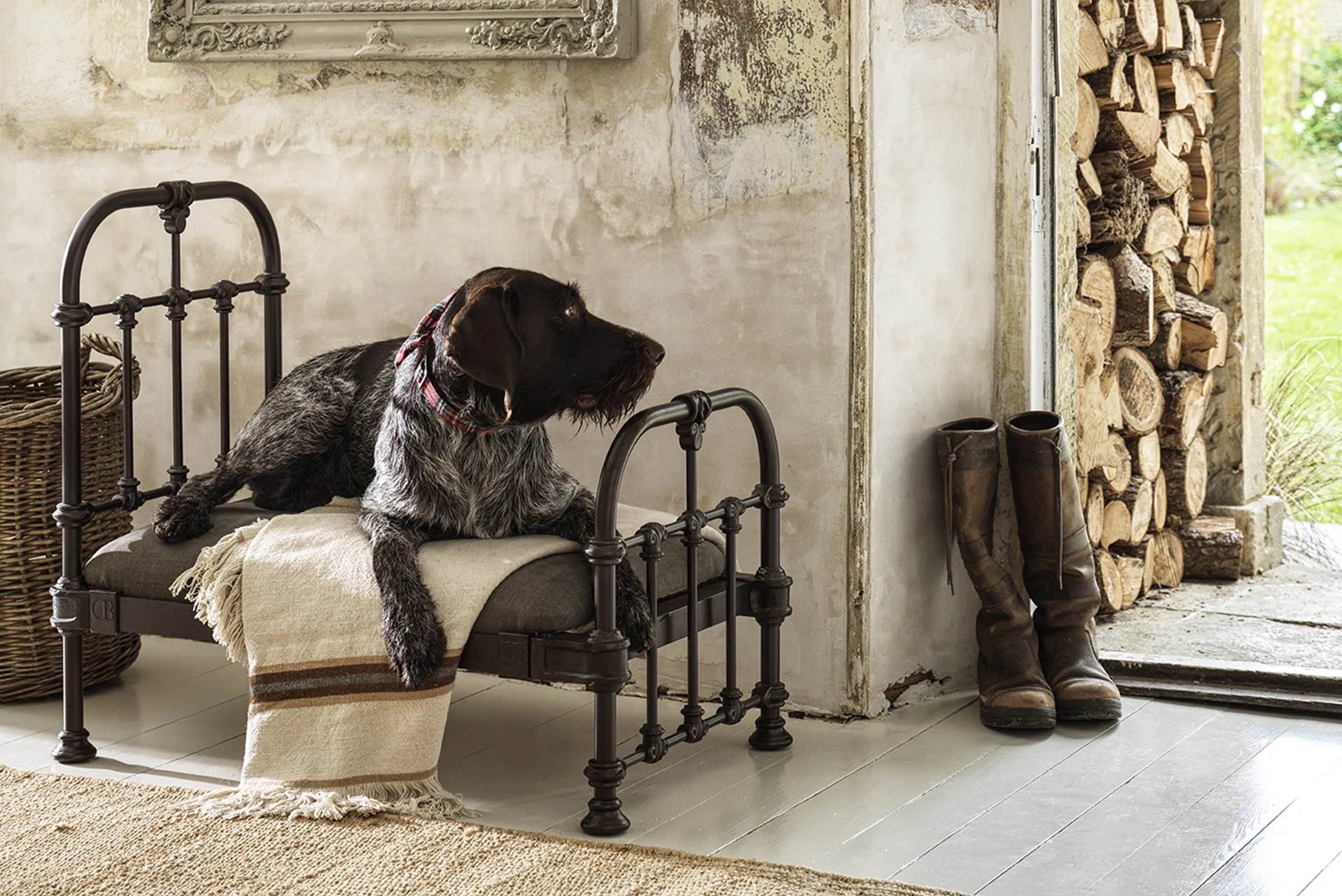 Dog Pet Bed