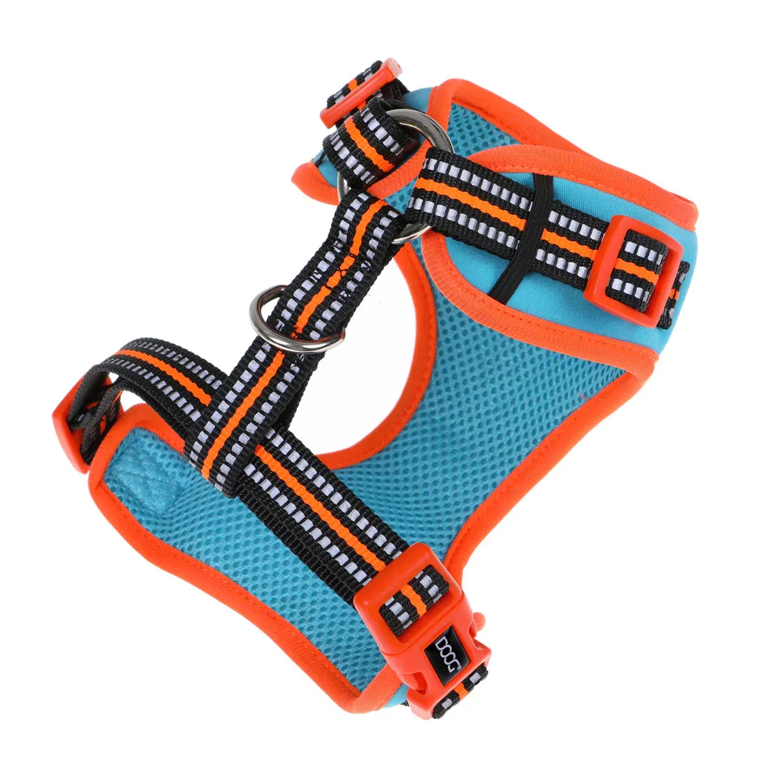 DOOG Neoflex Neoprene Beethoven Neon Blue and Orange Dog Harness Extra Small