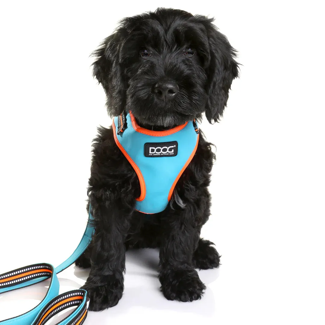 DOOG Neoflex Neoprene Beethoven Neon Blue and Orange Dog Harness Medium