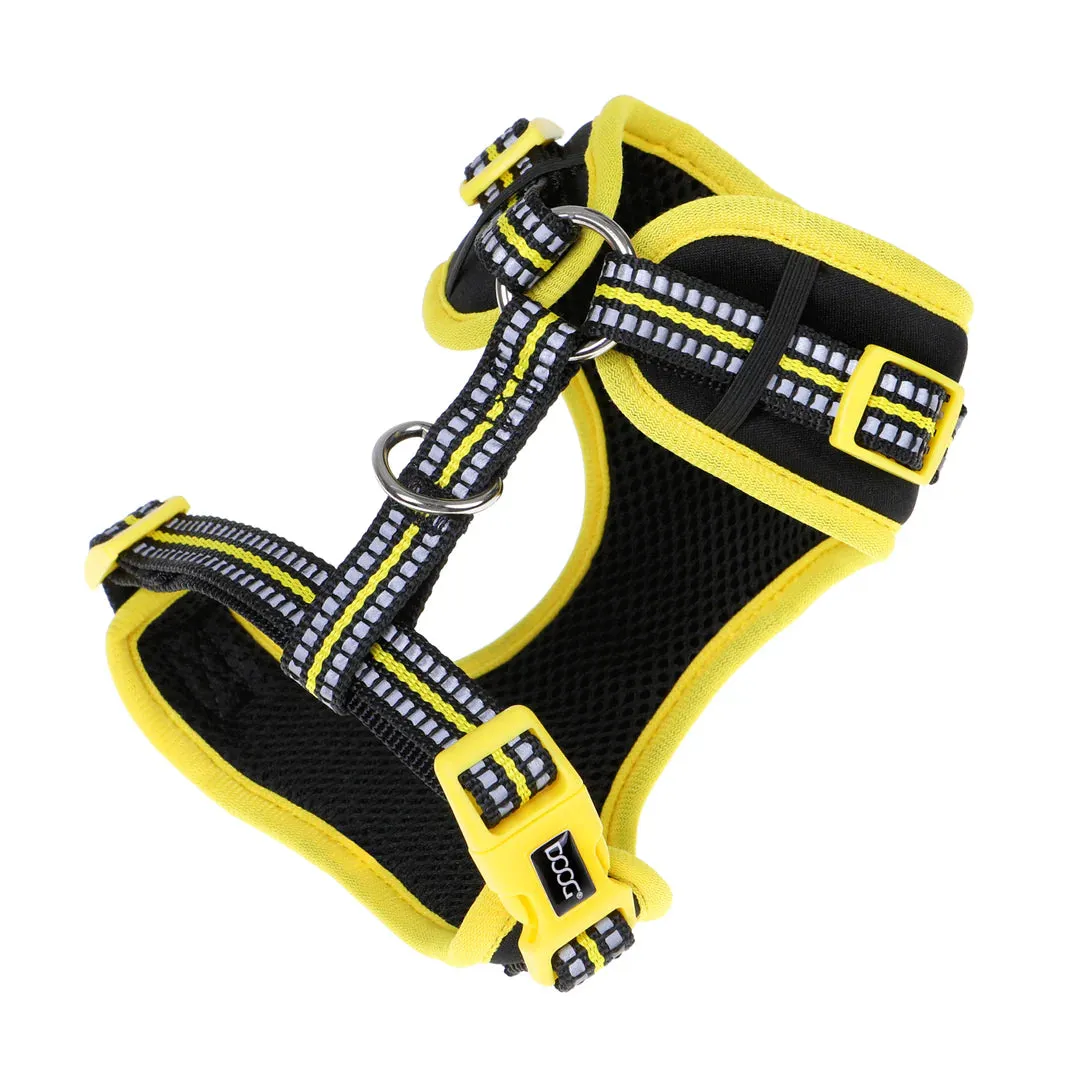 DOOG Neoflex Neoprene Bolt Neon Black and Yellow Dog Harness Medium^^^