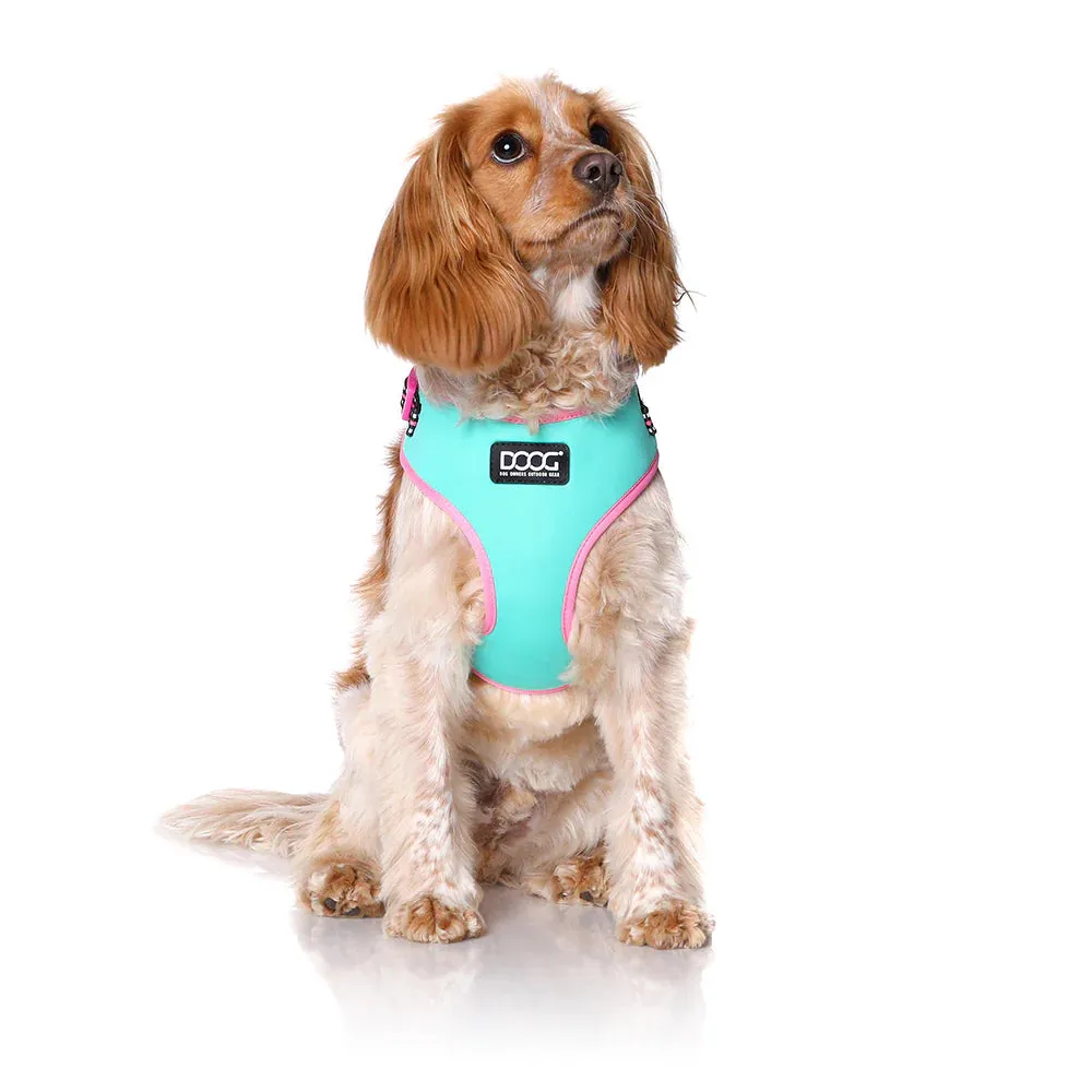 DOOG Neoflex Neoprene Rin Tin Tin Neon Teal and Pink Dog Harness Small^^^