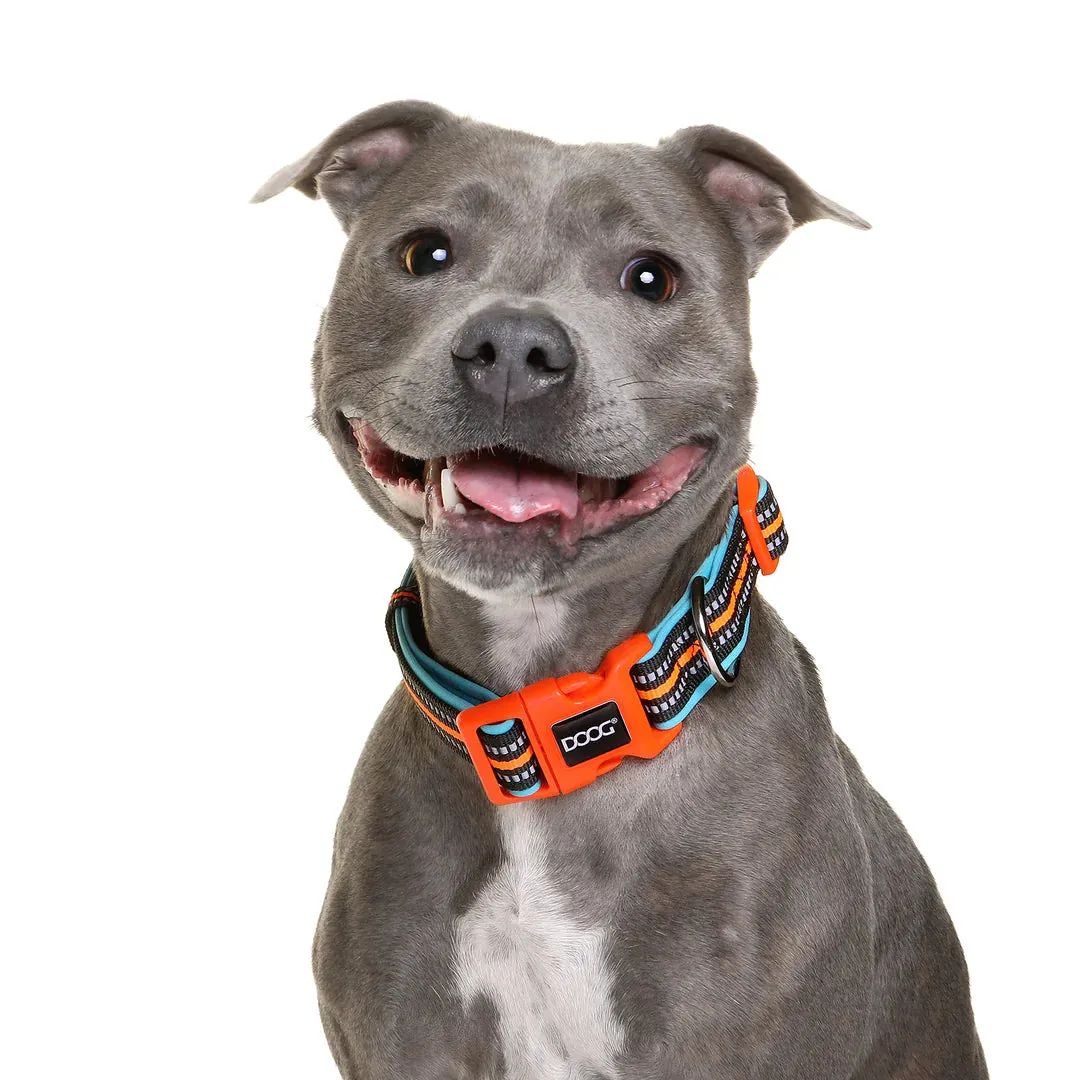 DOOG Neoprene Beethoven Neon Blue and Orange Dog Collar Extra Small^^^