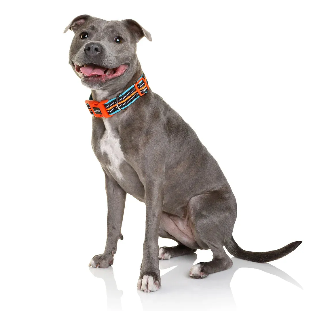 DOOG Neoprene Beethoven Neon Blue and Orange Dog Collar Extra Small^^^