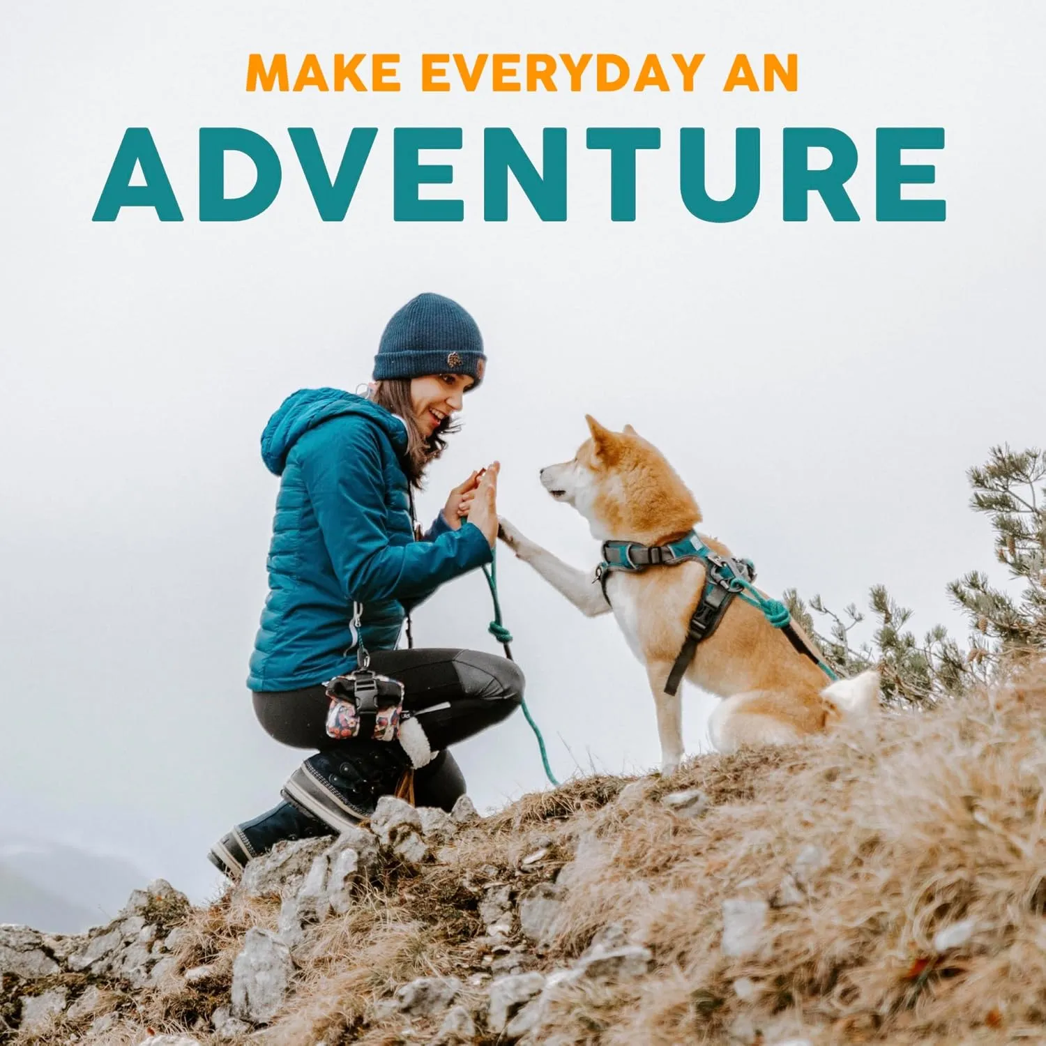 Embark Adventure Dog Collar  Stylish & Durable Nylon Collar for Medium Dogs,Comfortable & Adjustable Pet Collar for Medium Sized Dog with Strong Buckles