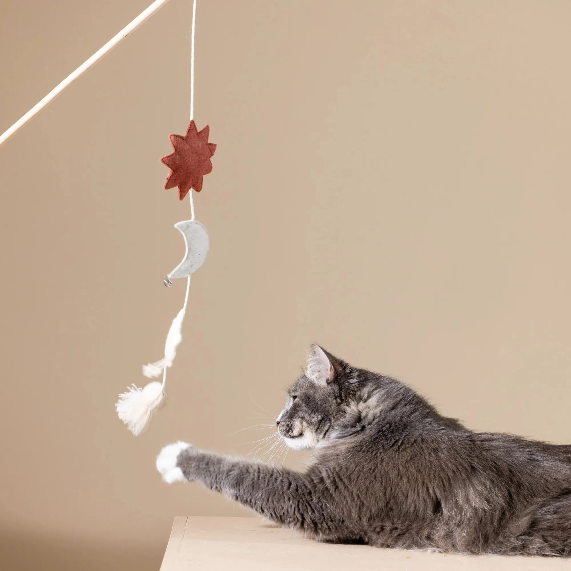 Fringe Cat Toy Teaser Happy Skies
