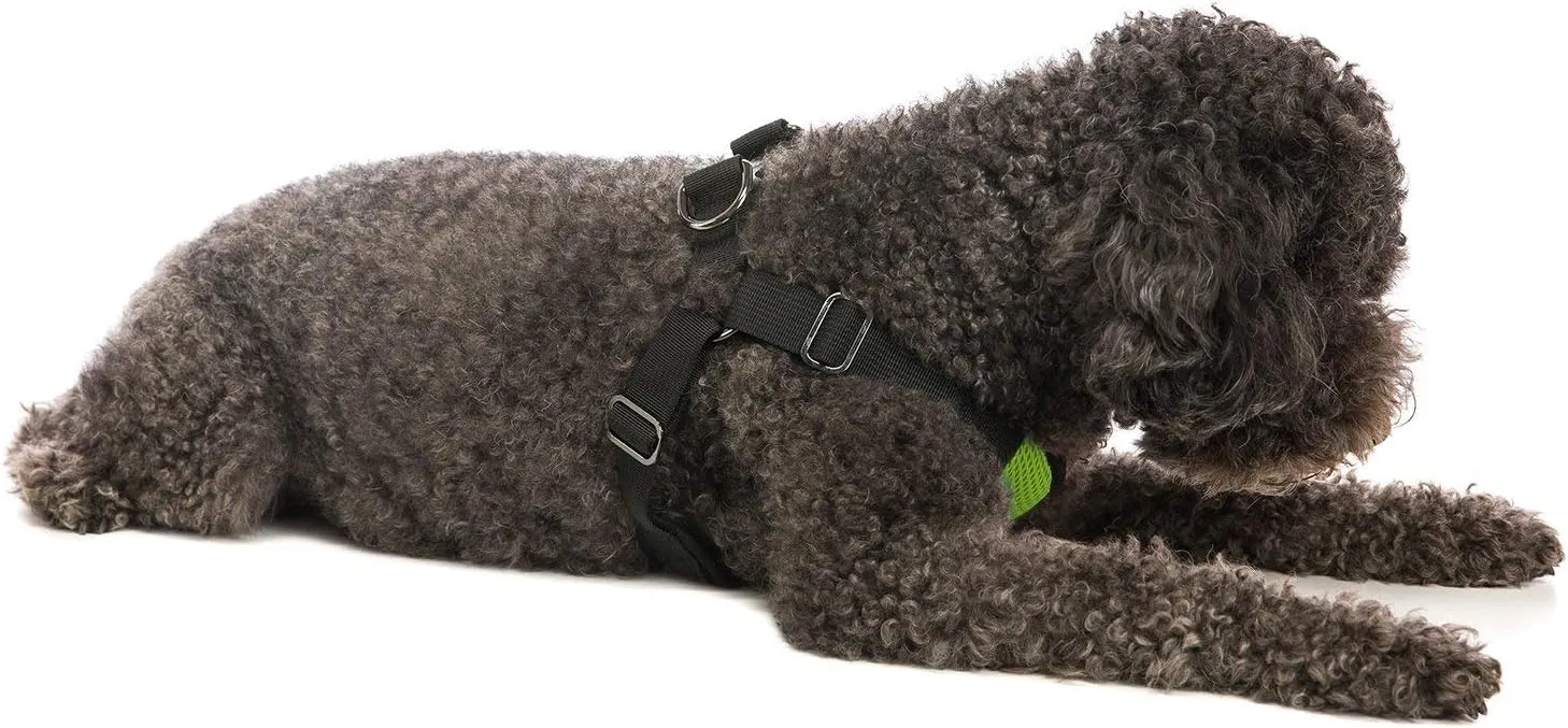 Gooby Comfort X Step in Harness - Green, X-Large - No Pull Small Dog Harness Patented Choke-Free X Frame - Perfect on The Go Dog Harness for Medium Dogs No Pull or Small Dogs