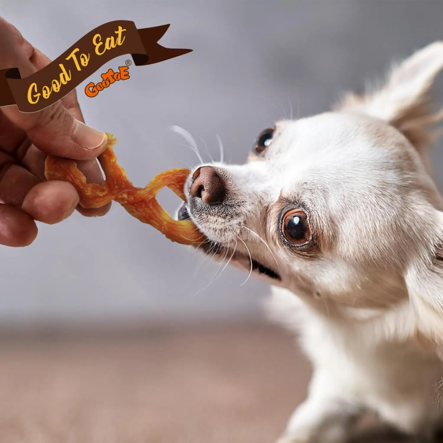 Gootoe Turkey Tendon Dog Treats, Pretzel (S) 6 Units/Pack, 100% USA Sourced Turkey, Natural Snack, Premium Puppy Chews, Hypoallergenic, Reseal Value Bags, Size for Small Dogs