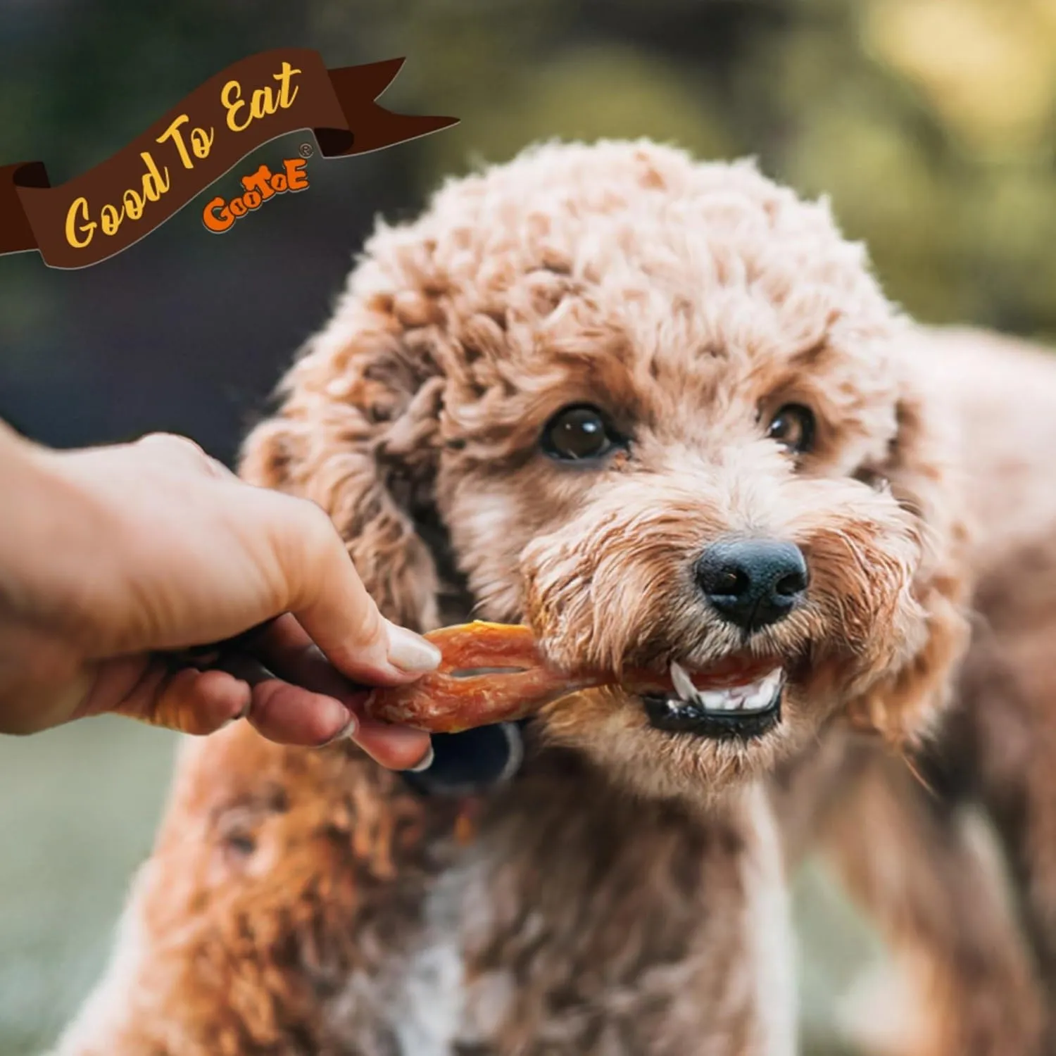 Gootoe Turkey Tendon Dog Treats, Ring (M) 3.17 oz, 100% USA Sourced Turkey, Natural Snack, Premium Puppy Chews, Hypoallergenic, Reseal Value Bags, Size for Medium Dogs