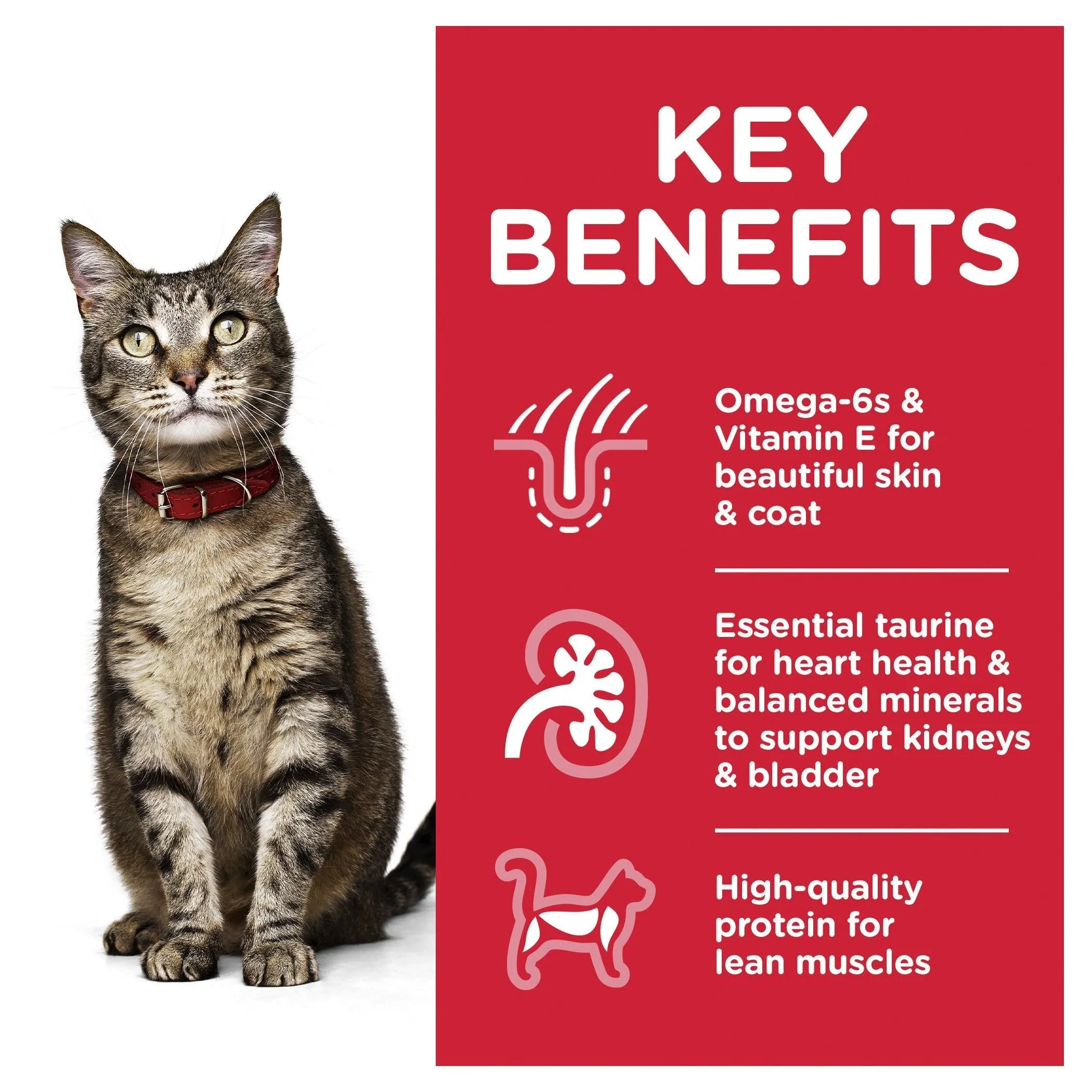 Hills Science Diet Adult Optimal Care Ocean Fish Cat Food Pouches 85g