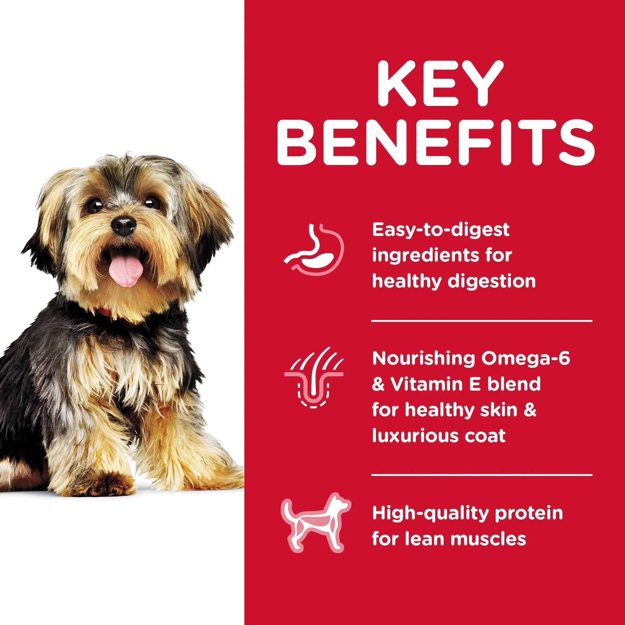 Hill's Science Diet Dry Dog Food Adult Small Paws for Small Breed Dogs