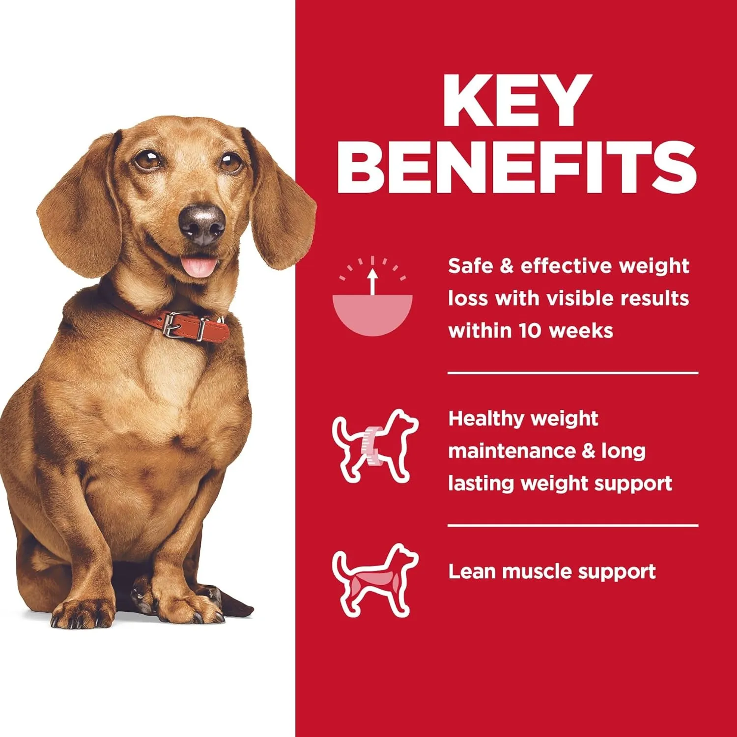 Hill'S Science Diet Perfect Weight, Adult 1-6, Small & Mini Breeds Weight Management Support, Dry Dog Food, Chicken Recipe, 4 Lb Bag
