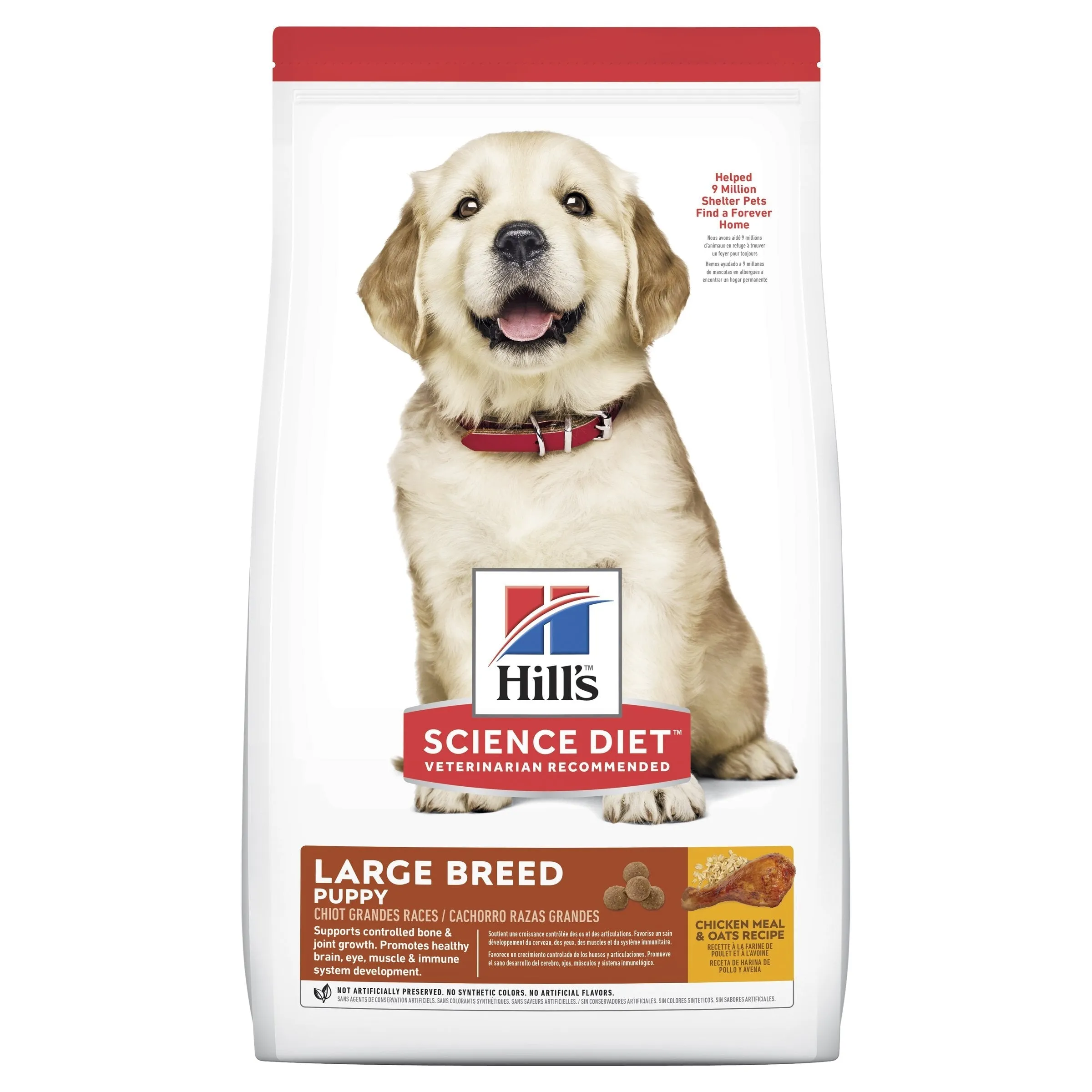 Hills Science Diet Puppy Large Breed Dry Dog Food 3kg^^^