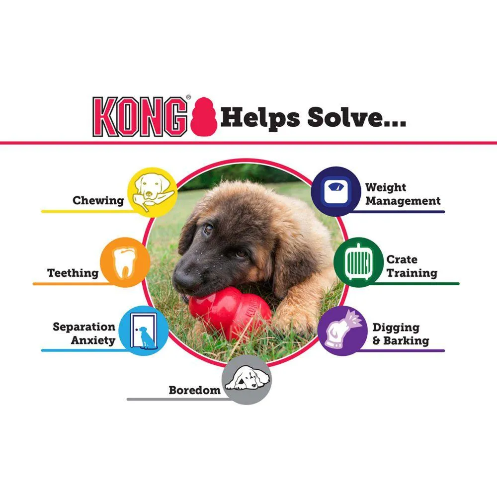 Kong Classic Feeding Toy