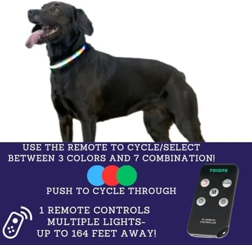 LED Dog Collar, USB Rechargeable Light Up Dog Collar Lights, Light Up Glowing Waterproof with Remote Collars for Dogs