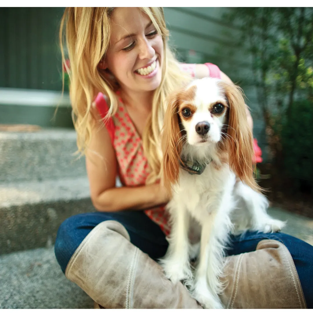 Little Dog Add-A-Dog® Extra Receiver Collar