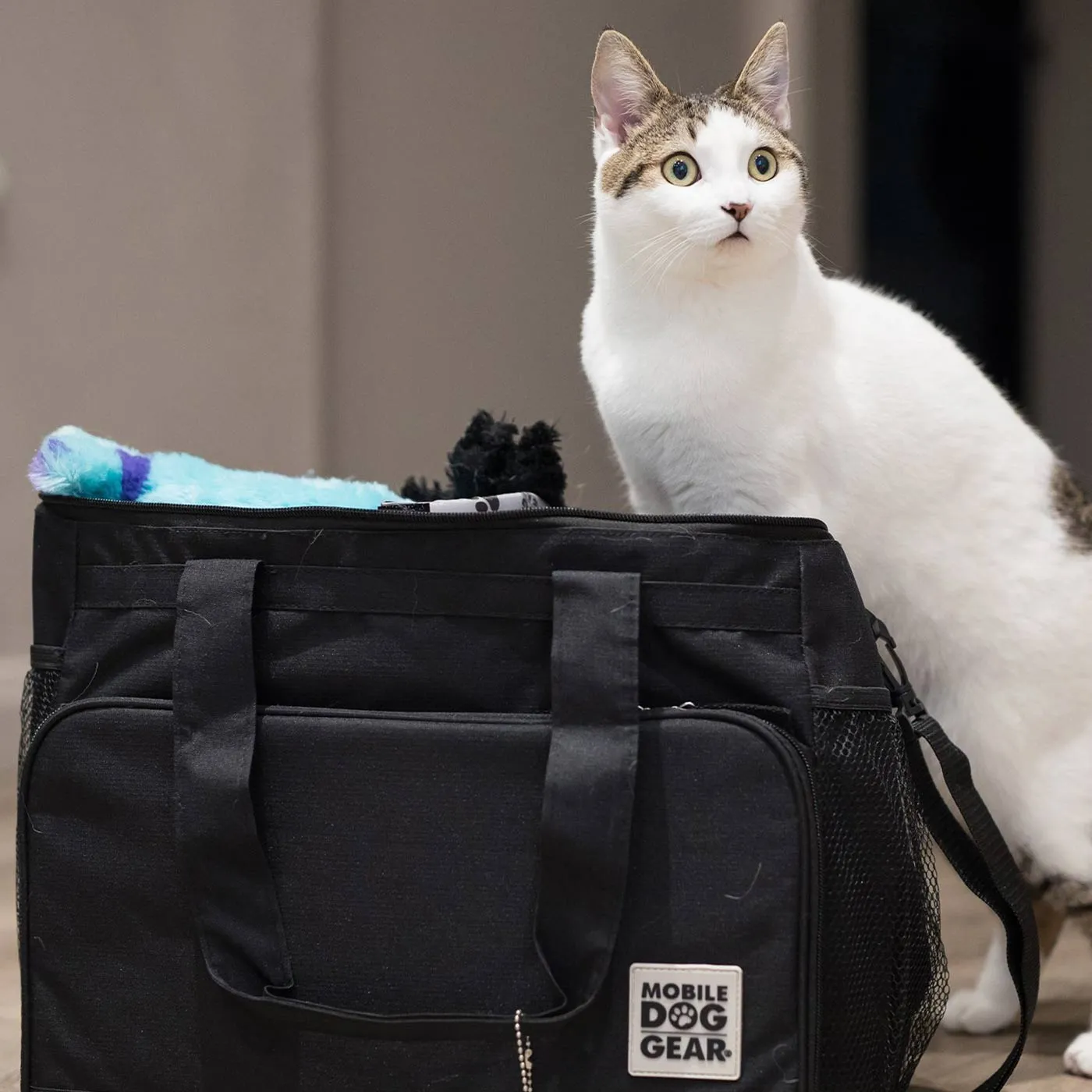 Mobile Dog Gear Weekend Away Bag In Black
