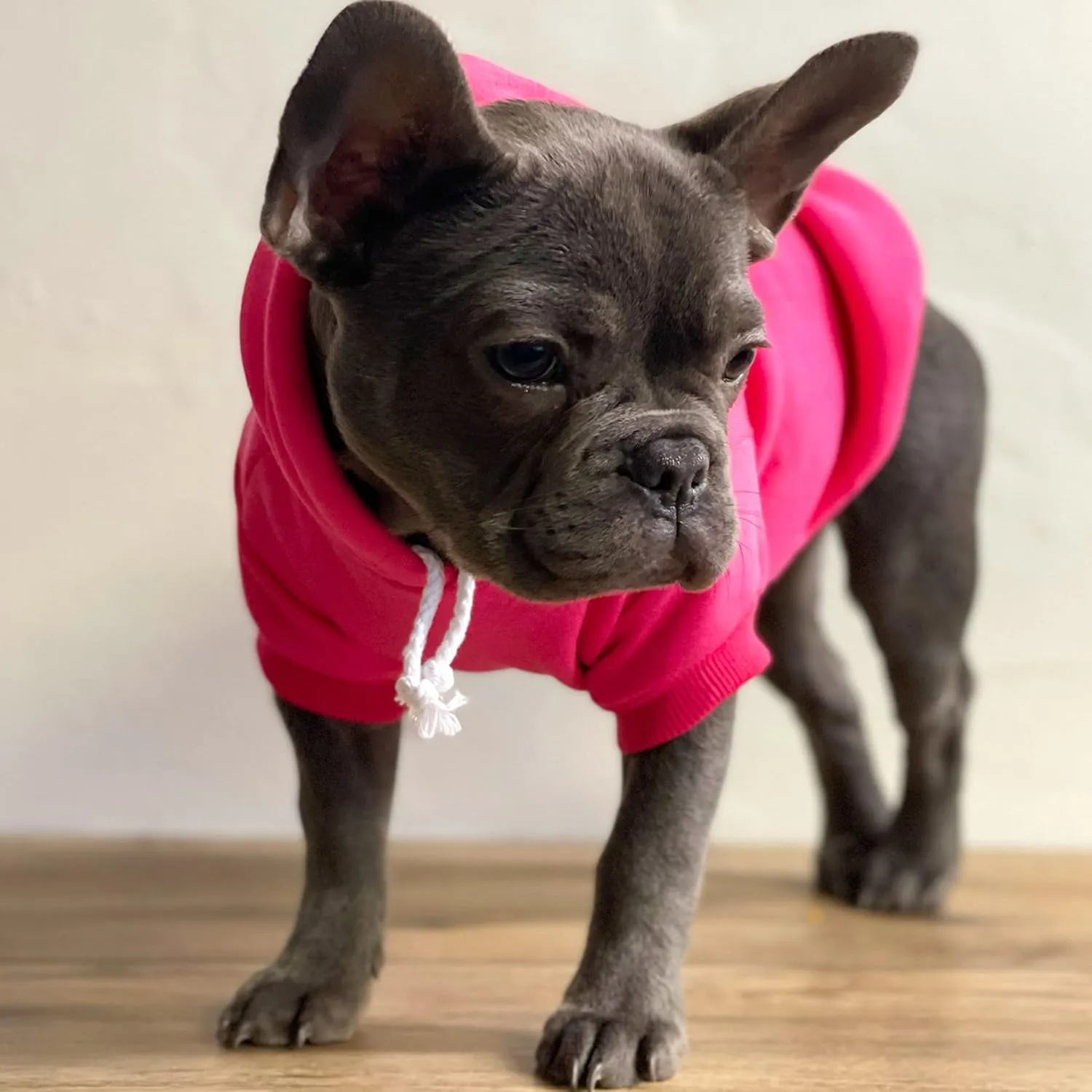 My Mom is Single Dog Hoodie Fleece Lined Pullover Sweatshirt with Leash Hole (Green, 6X-Large 115)