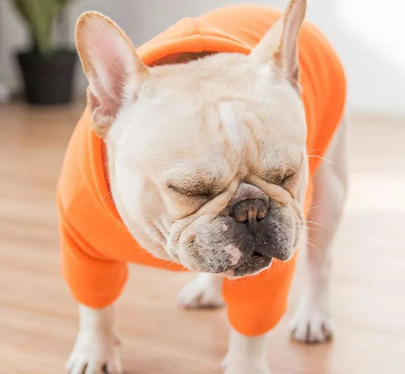 New autumn and winter hooded sweater small and medium-sized dog pet clothes