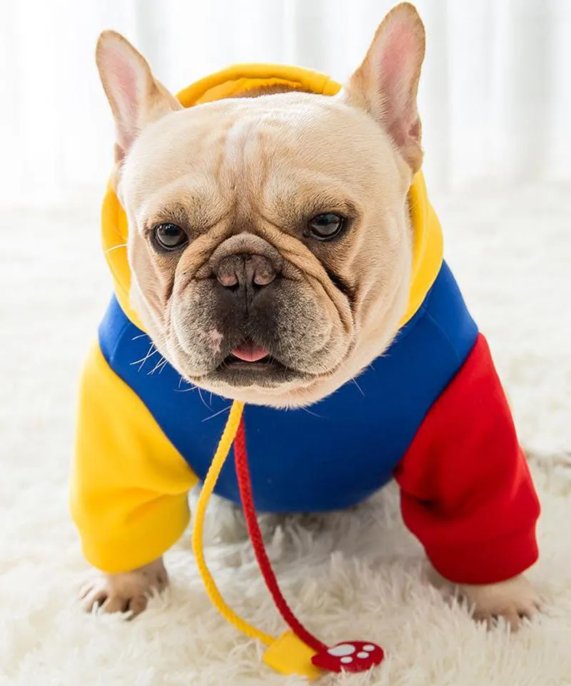 New autumn and winter hooded sweater small and medium-sized dog pet clothes