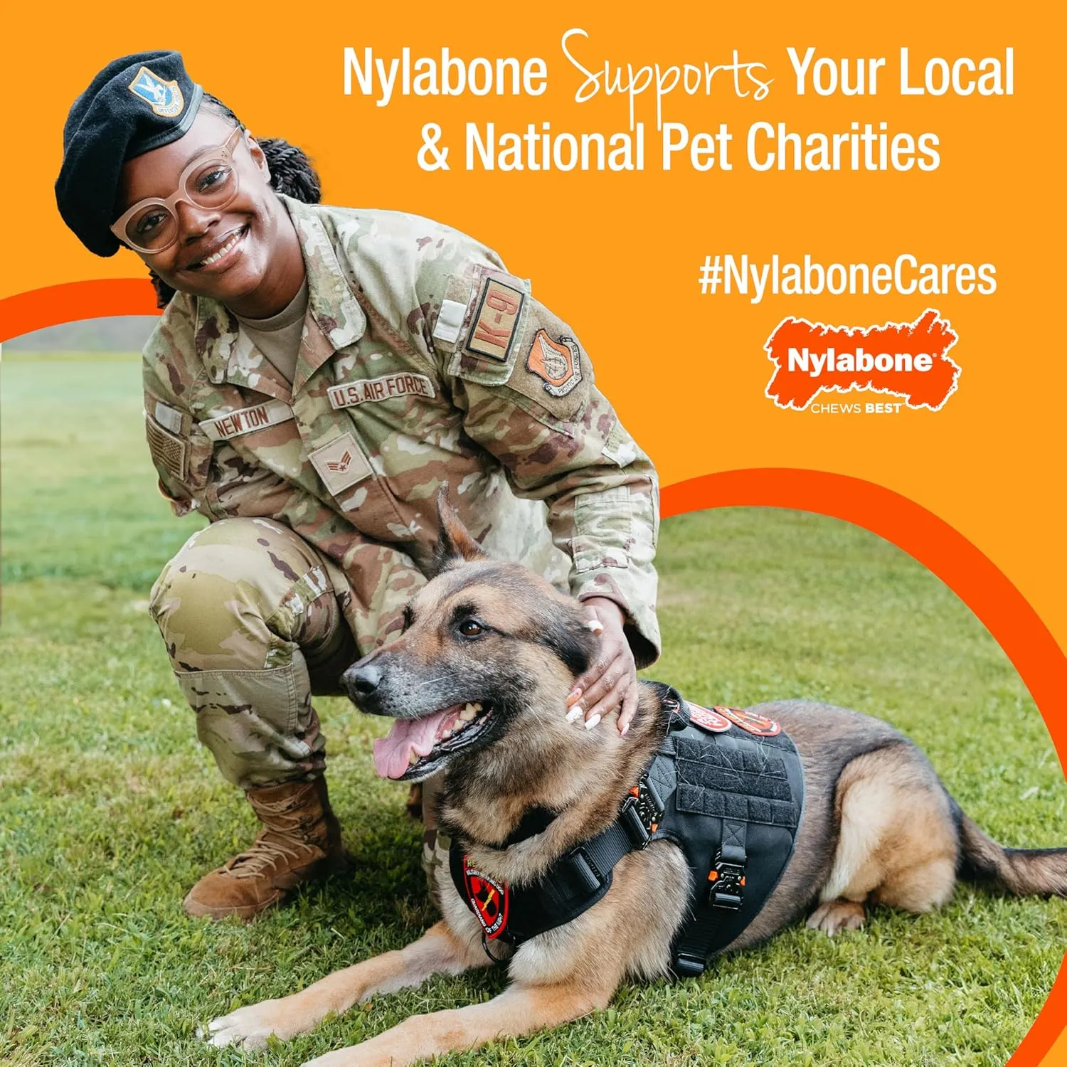 Nylabone Nubz Natural Edible Chew Treats for Dogs, Made in USA, Chicken Flavor, Large - Up to 50 lbs. (40 Count)