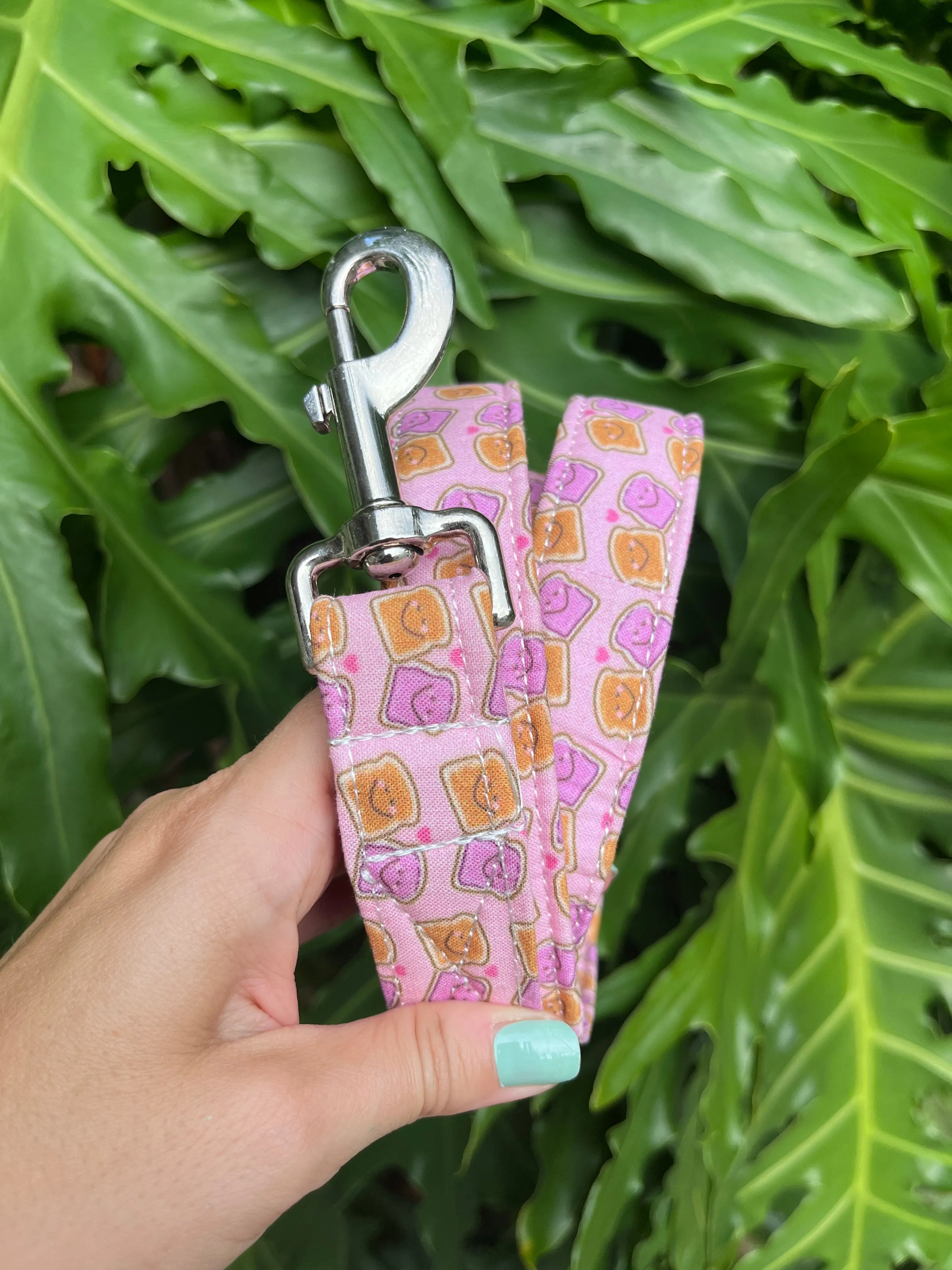 Peanut Butter & Jelly Dog Leash