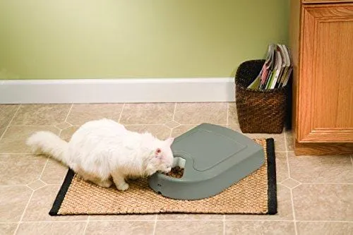 PetSafe 5 Meal Automatic Dog and Cat Feeder, Dispenses Dog Food or Cat Food, Digital Clock