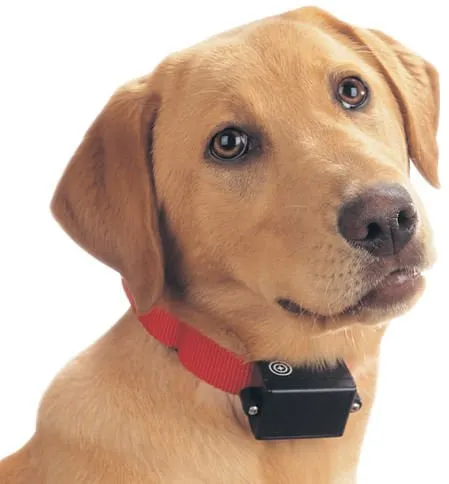 PetSafe Batteries (RFA-67D), 2 pack
