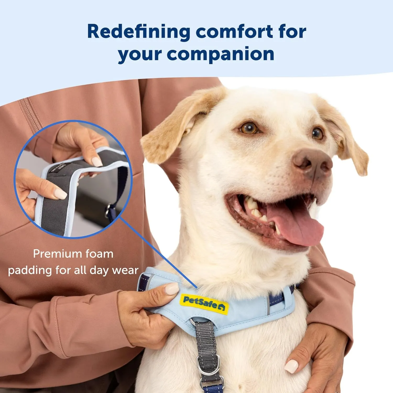 PetSafe Easy Walk Comfort No-Pull Dog Harness Full-Body Padding - Better Walks on The First Use - 5 Points of Adjustment Medium/Large, Green