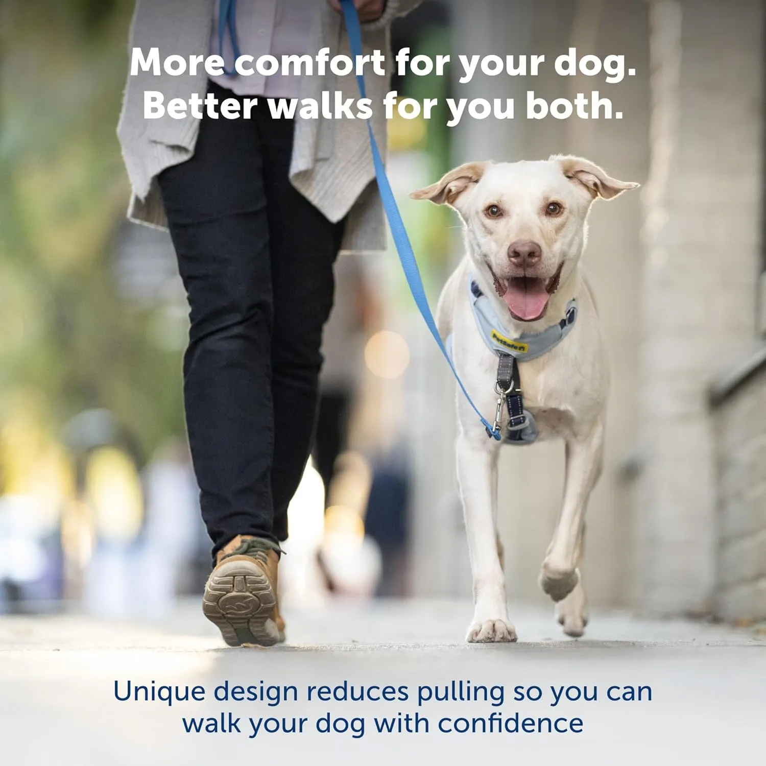 PetSafe Easy Walk Comfort No-Pull Dog Harness Full-Body Padding - Better Walks on The First Use - 5 Points of Adjustment Medium/Large, Green