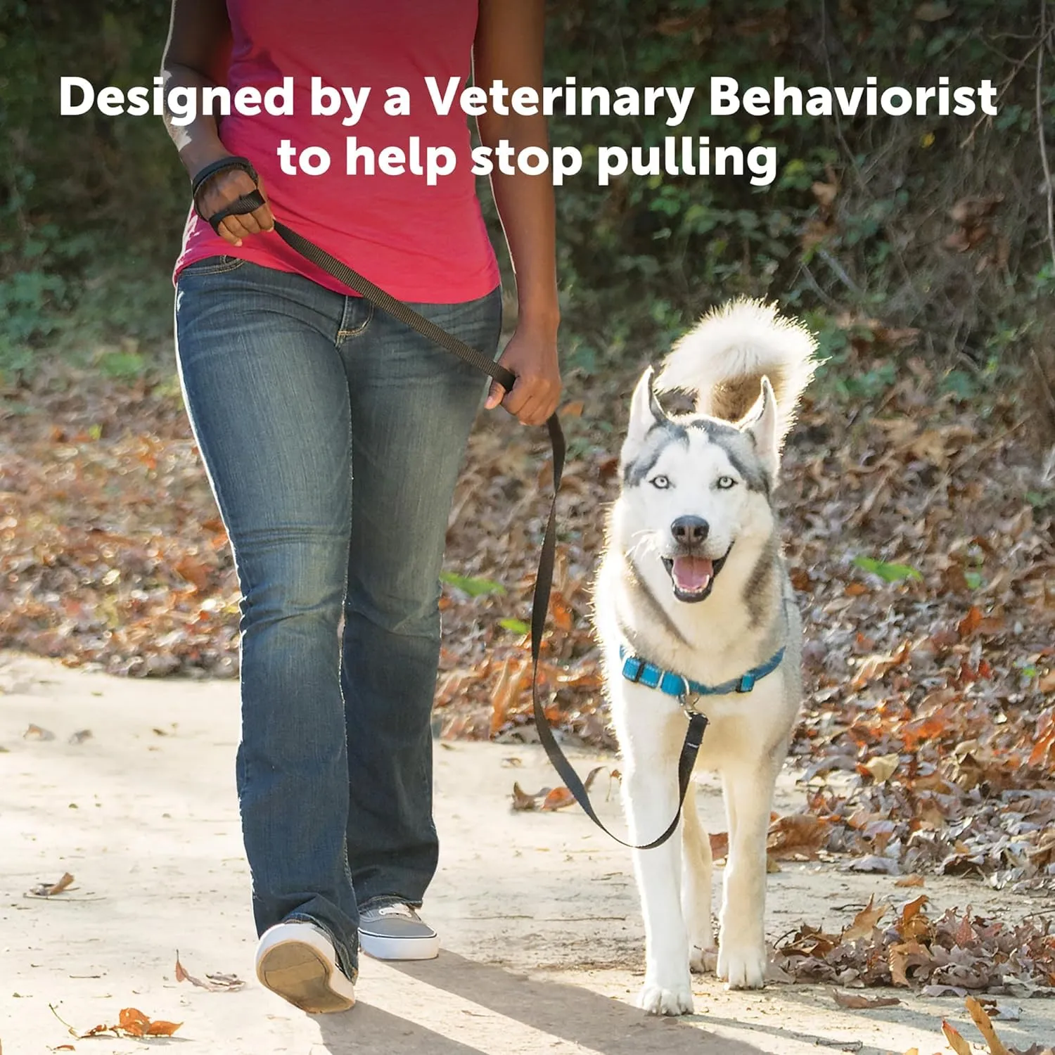PetSafe Easy Walk Deluxe Dog Harness, No Pull Dog Harness  Perfect for Leash & Harness Training  Stops Pets from Pulling and Choking on Walks  Medium/Large, Rose